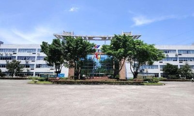 信息技術部門 驅動數(shù)字化轉型的核心引擎